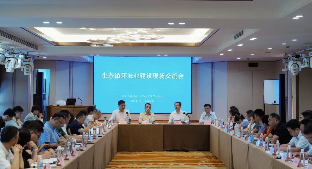 “一把火”变“一把钱”：上海生物质资源向综合利用转型